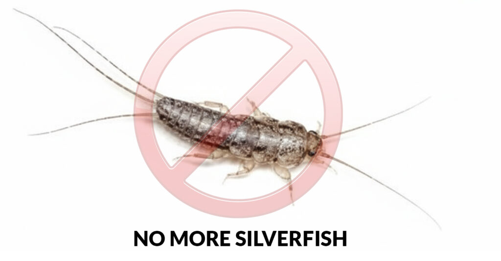 Silverfish pest control